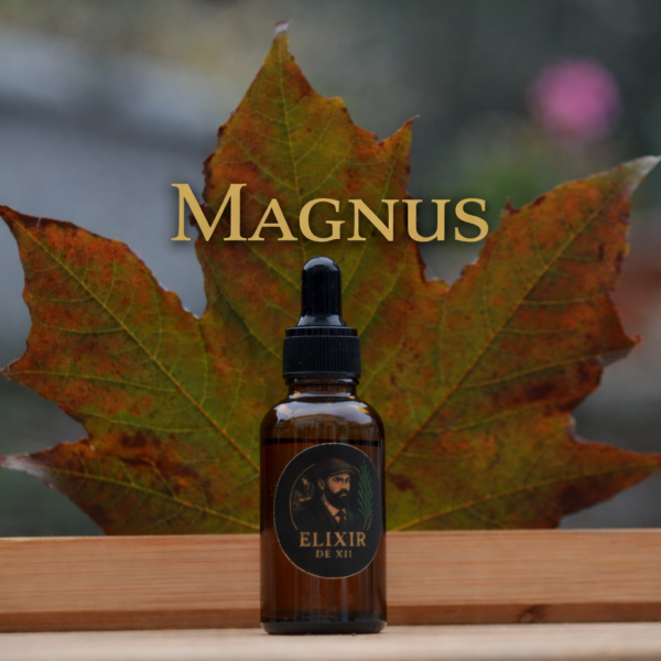 ELIXIR de XII - MAGNUS